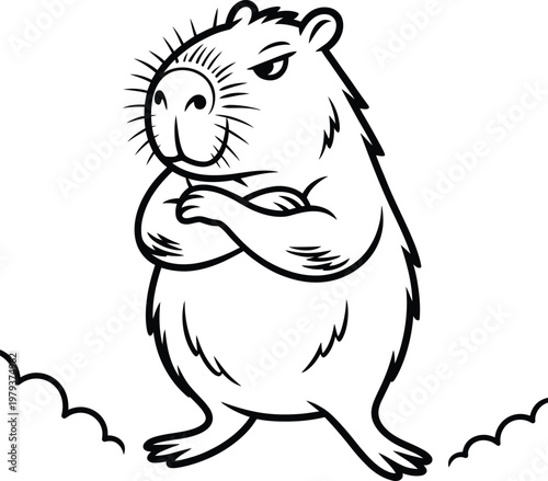 Cartoon capybara character with crossed arms, vector illustration