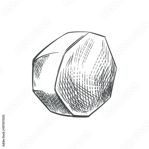 Peeled potatoes on a table. An ink outline drawing of a peeled potato. Imitation of an engraving. A nutritious agricultural crop.