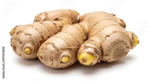 Fresh ginger root isolated on white background for culinary and health uses