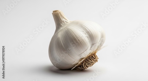 Fresh garlic bulb on white backdrop culinary herb ingredient close up