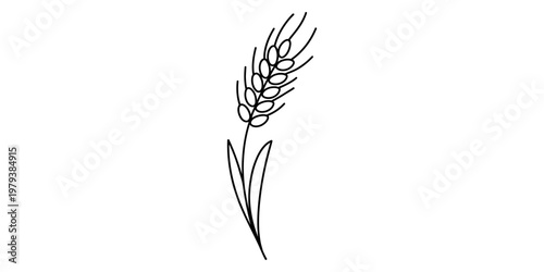 A simple black and white line art drawing of a single stalk of wheat against a white background Vector, illustration