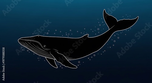 Black whale swimming in the ocean.
