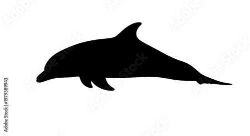 Black silhouette of a dolphin swimming.