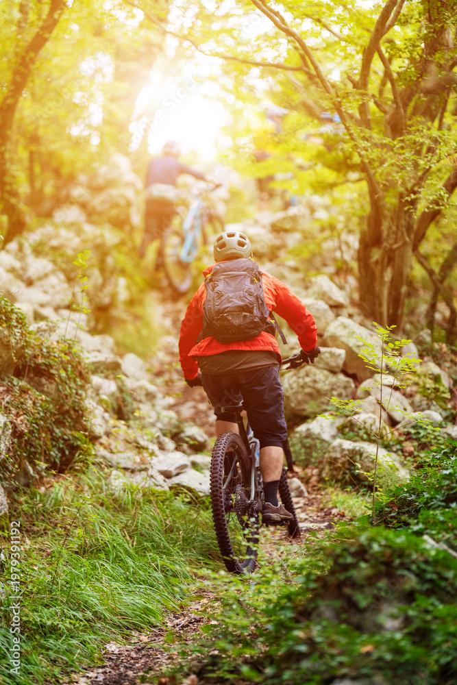 Naklejka premium Mountain bikers riding a rocky forest trail at sunrise for outdoor adventure and fitness