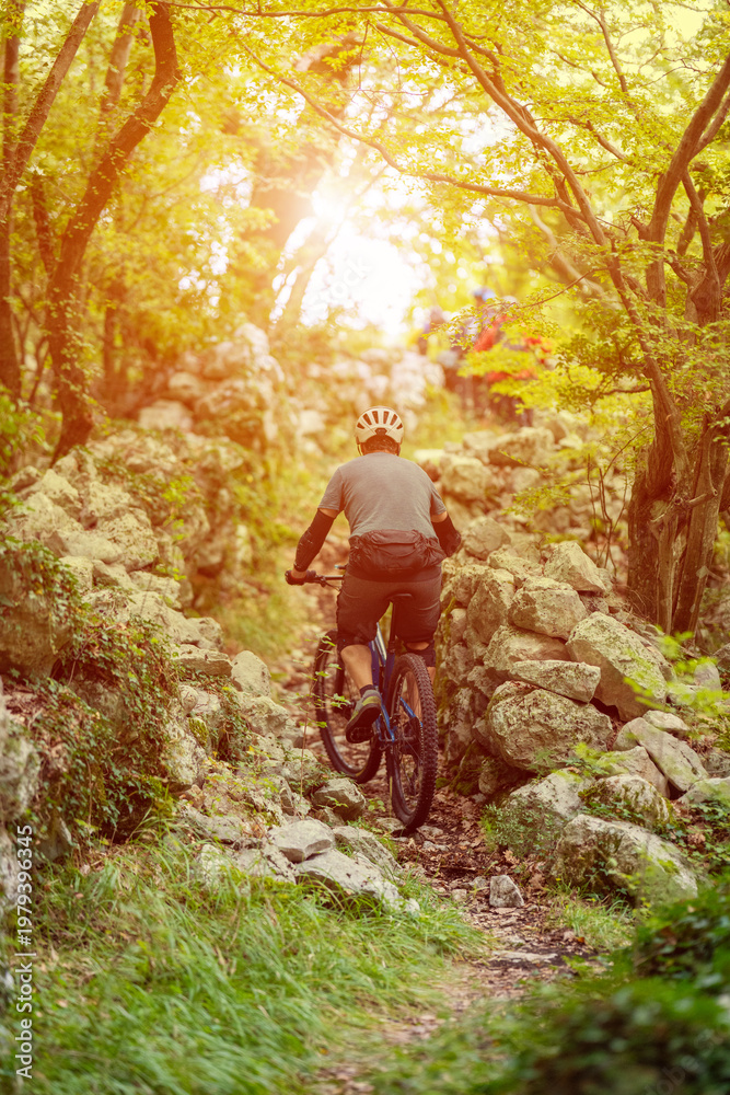 Obraz premium Mountain biker riding a rocky forest trail toward a sunlit clearing on a summer afternoon