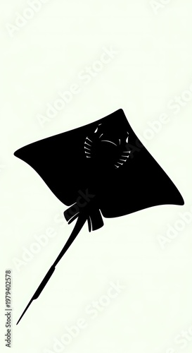 Black kite flying in the air.