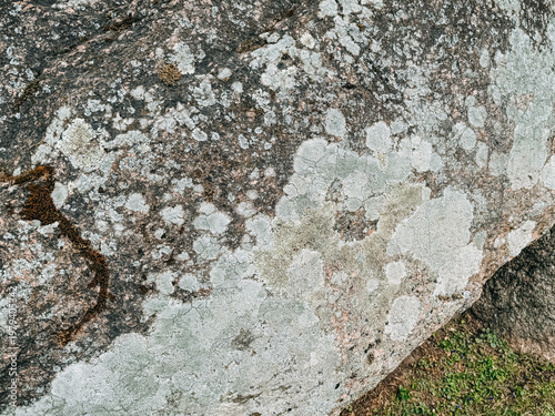 Close-Up Lichen Covered Rock Texture Natural Abstract Background