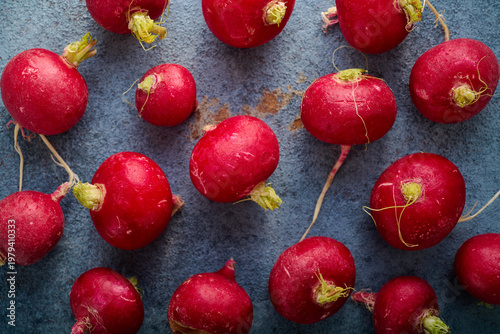 Red radishes freshly picked from the garden