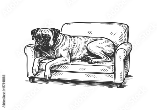 Boxer dog hand drawn simple sketch vector illustration