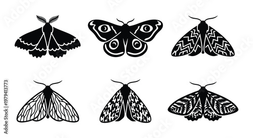 Mystical moth silhouettes, 6 black butterfly icons, celestial insect vector