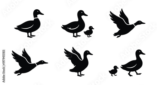 Duck silhouette vector set, flying mallard icons, waterfowl bird graphics