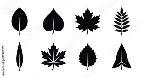 Black leaf silhouettes, 8 botanical icons, minimalist tree leaf vectors