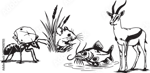 Two black horse silhouettes facing each other, elegant symmetrical animal illustration, equestrian wildlife art, rural nature scene, strength, beauty, and classic western design concept