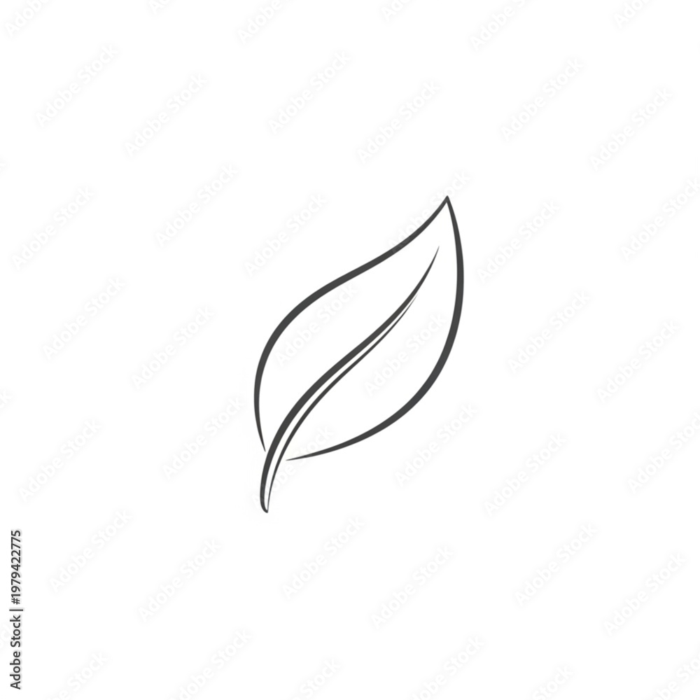 Fototapeta premium Simple Line Drawing of a Leaf.