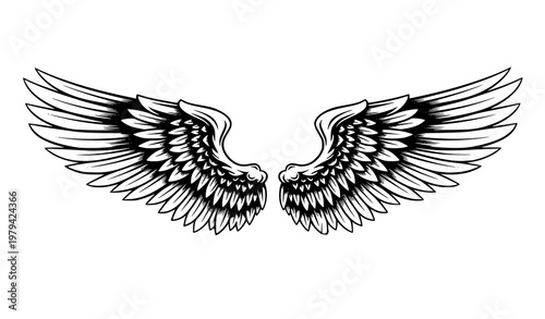 Angel wings vector illustration symmetrical feather wings silhouette isolated on white background