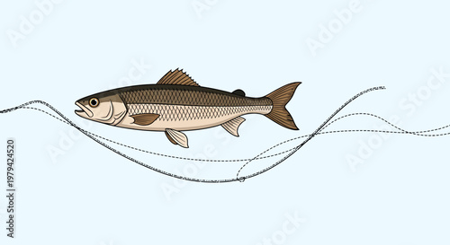 A single fish swimming in clear water with lines representing movement.