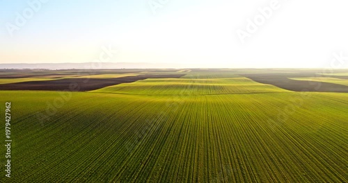 Aerial view of green agricultural fields at sunset