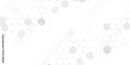A subtle hexagon pattern background with interconnected shapes in soft gray and white. Simple abstract modern background White geometric hexagonal honeycomb shape texture background 3d copy space.