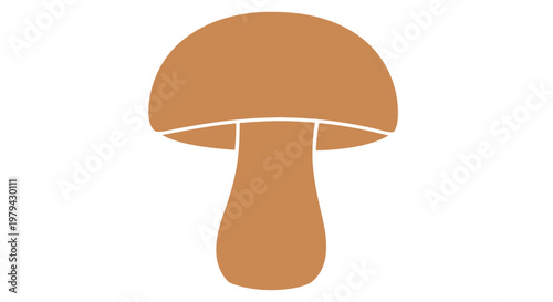 Brown Mushroom Fungi Organic Food.