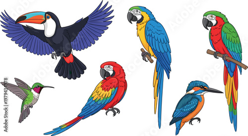 Colorful Tropical Bird Set with Toucan Parrot Macaw Hummingbird and Kingfisher Exotic Wildlife Illustrations for Nature Design and Creative Projects