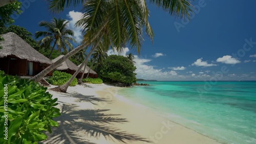 tropical beach with coconut palm trees