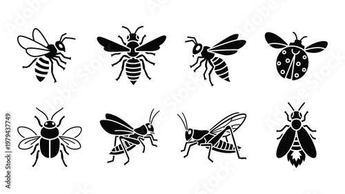 A collection of black silhouette icons depicting various insects including bees wasps ladybugs grasshoppers and flies high quality professional detailed modern