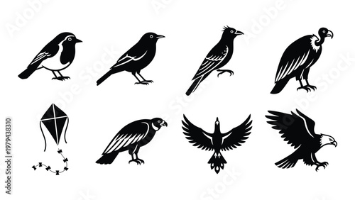 A collection of black silhouette images depicts various birds of prey including eagles vultures and smaller songbirds plus a kite