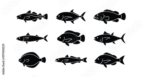 Black fish silhouettes collection, set of 9 sea fish vector icons, marine life aquatic animal shapes for seafood restaurant menus and fishing logos