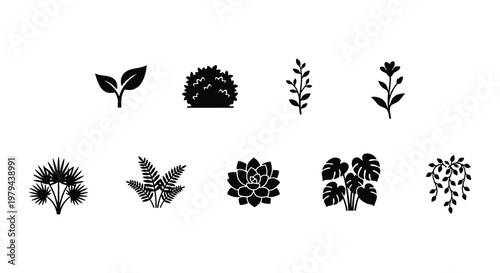Minimalist black plant icons set, 9 botanical vector elements, flat floral silhouettes including monstera and succulent for landscape design