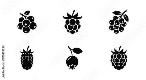 Minimalist berry icon set, black silhouette wild berries collection, 6 vector fruit symbols including raspberry, blackberry, and blueberry