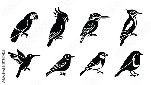 A collection of eight stylized black and white bird illustrations showcasing diverse species and poses high quality professional detailed modern elegant
