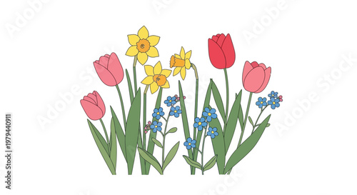 Colorful Tulips Daffodils and Flowers.