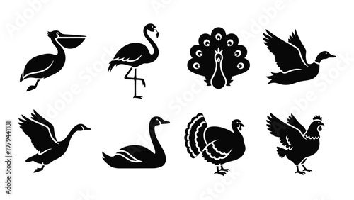 A collection of black silhouette bird icons displays a pelican flamingo peacock turkey swan and other fowl high quality professional detailed