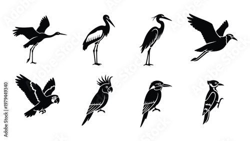 A collection of black silhouette birds including cranes herons woodpeckers and a cockatoo are depicted in various poses high quality professional