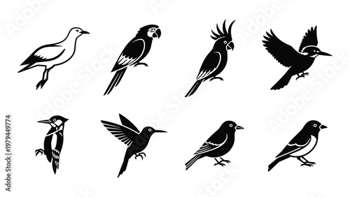 A collection of eight distinct bird silhouettes in black and white showcasing varied species and postures high quality professional detailed modern