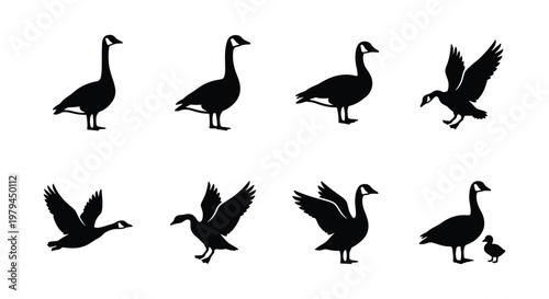 Canada goose silhouette set, 8 flying and standing waterfowl vector icons