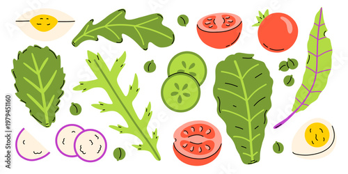 Vector set of salad ingredients in flat style. Arugula, lettuce leaves, cucumber, radish slices, whole, cut tomato, egg halves, green peas. Healthy recipe, menu design, packaging, vegetarian branding.