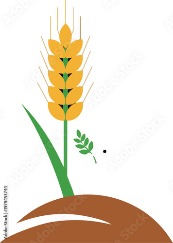 Wheat Grain Growing in Soil.