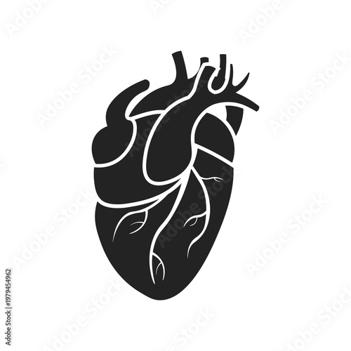 Isolated illustration of human heart silhouette for advertising about heart health services in clinics, hospitals and other health services.