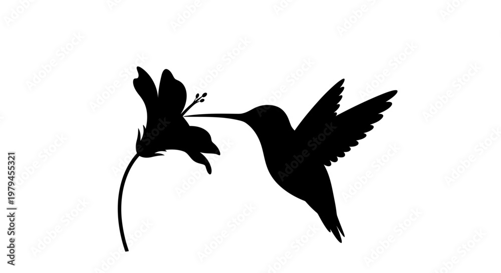 Fototapeta premium Hummingbird silhouette hovering and feeding on a flower nectar vector illustration