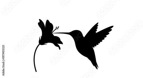 Hummingbird silhouette hovering and feeding on a flower nectar vector illustration