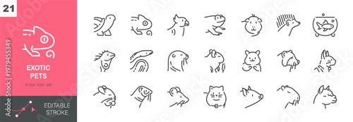 Exotic Pets Vector Icons Set. Rare and Unusual Animals, Reptiles, Birds and Small Pets for Home Care. Isolated Editable Stroke Linear Collection.
