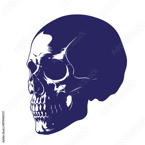 Dark blue and white of a human skull in profile skull profile view monochrome