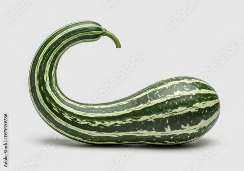 A unique, organically striped green gourd with a distinctive curved shape, presented in studio lighting.