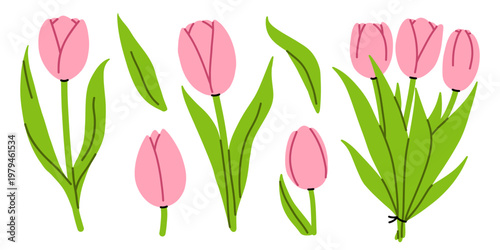 Vector set of cute soft pink tulip flowers with green leaves. Soft tulip stems, tied bouquet for spring greeting card, wedding decor, poster, floral branding design. Elegant flowers collection.