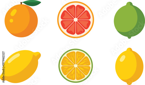 Citrus Fruit Vector Set with Orange, Lemon, Lime, and Grapefruit for Fresh Juices, Food Illustrations, and Healthy Recipes