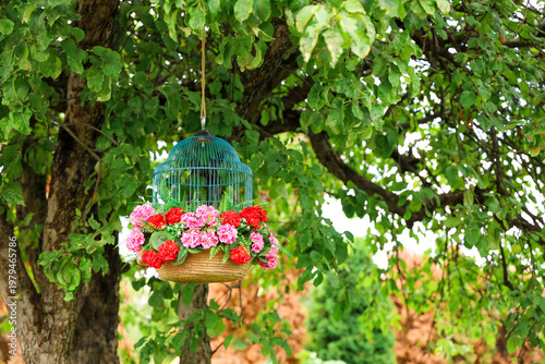 Photography Hanging birdcage filled with flowers under a green tree in a garden setting duri