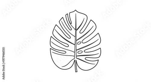 Minimalist black and white line art illustration of a Monstera deliciosa leaf, showcasing its iconic split-leaf design and tropical aesthetic.