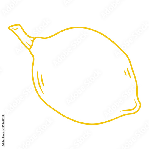 Yellow Line Art Lemon Fruit Drawing