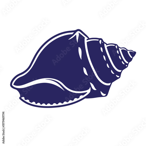 Dark blue conch shell with white outline dark blue shell seashell ocean